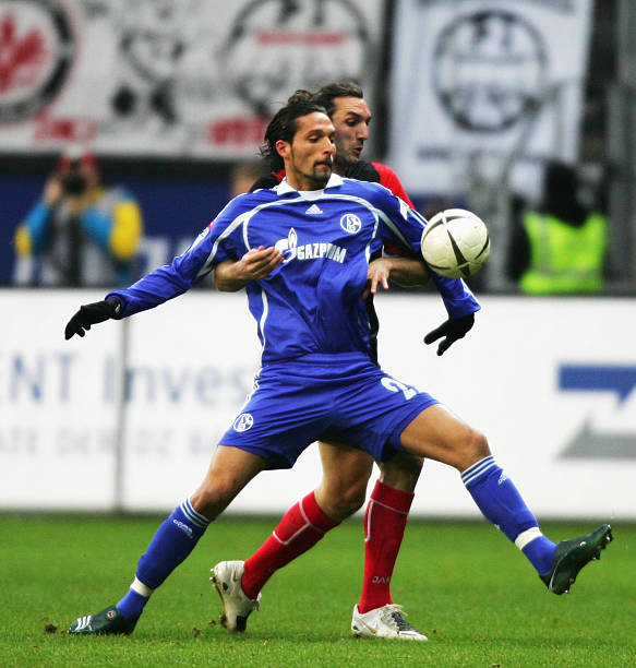 亚冬会的理 亚冬会的理